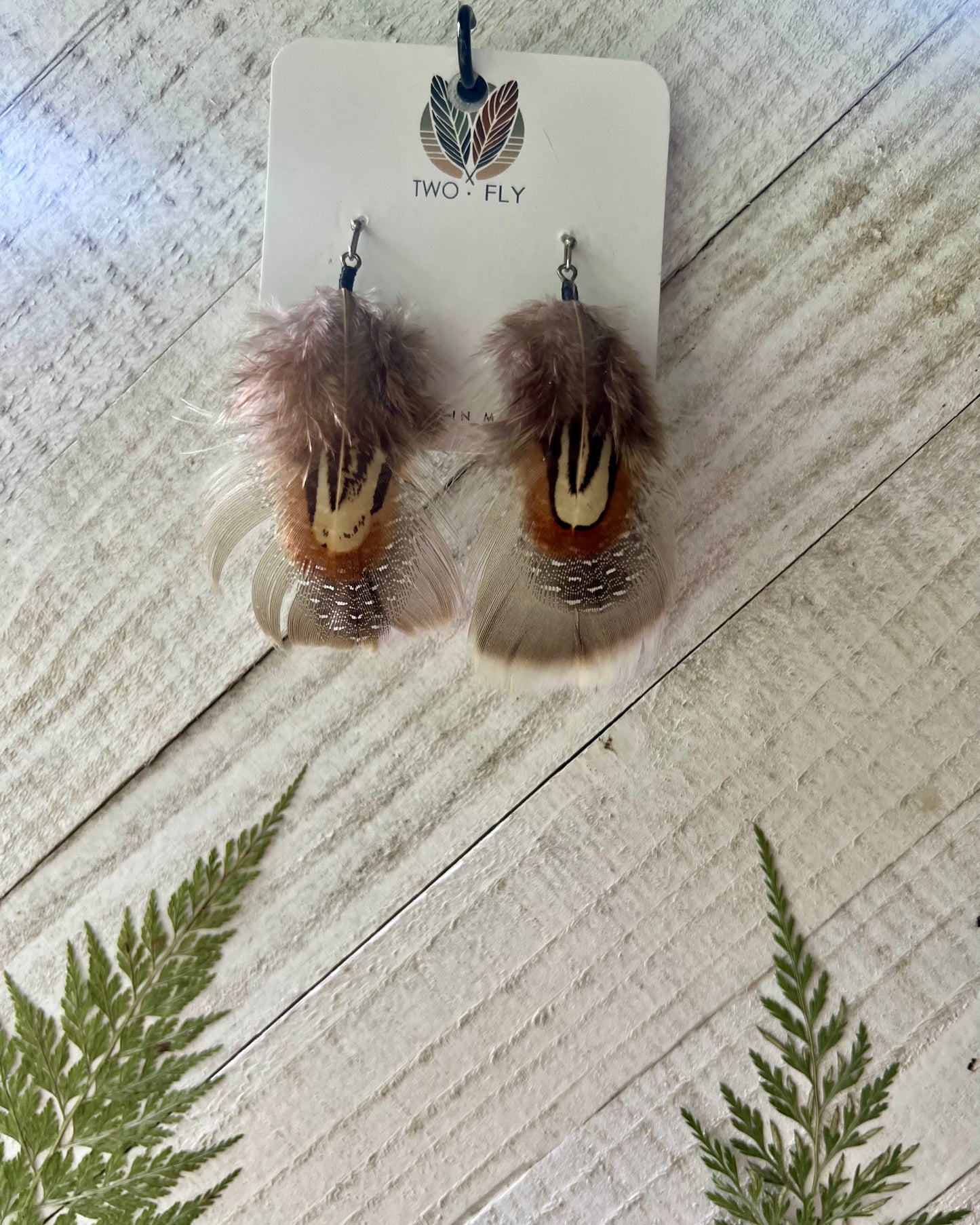 Dark Brown & Taupe Feather Earrings
