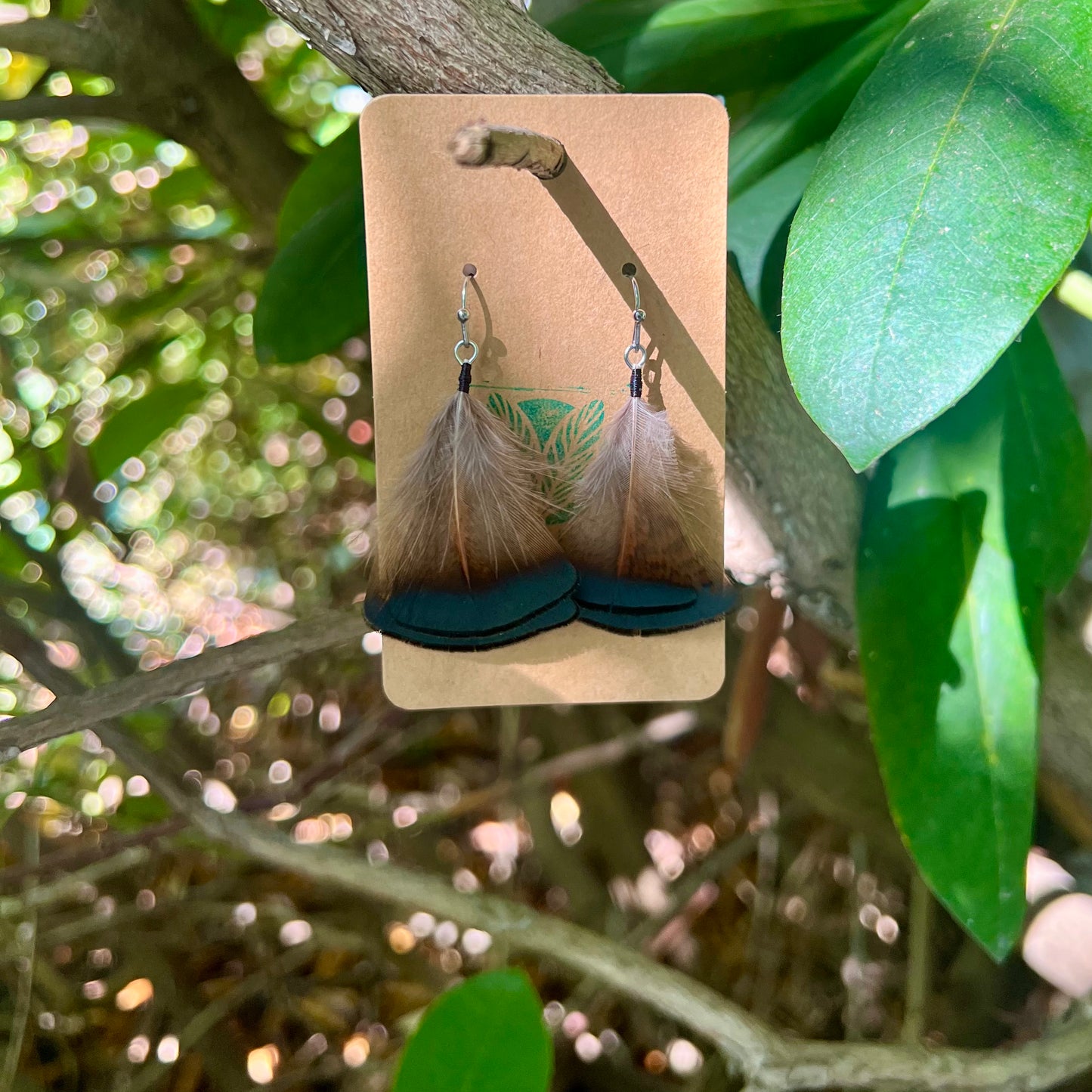 Forest Edge